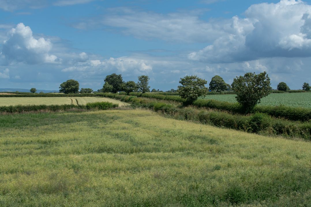 Green End House
