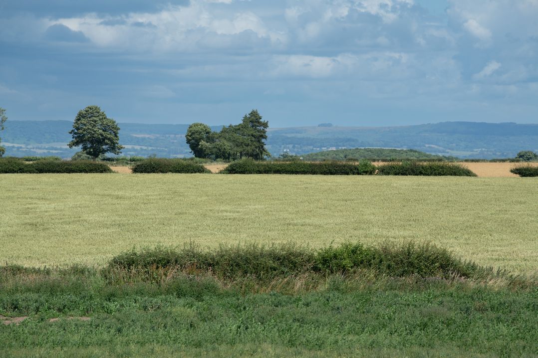 Green End House