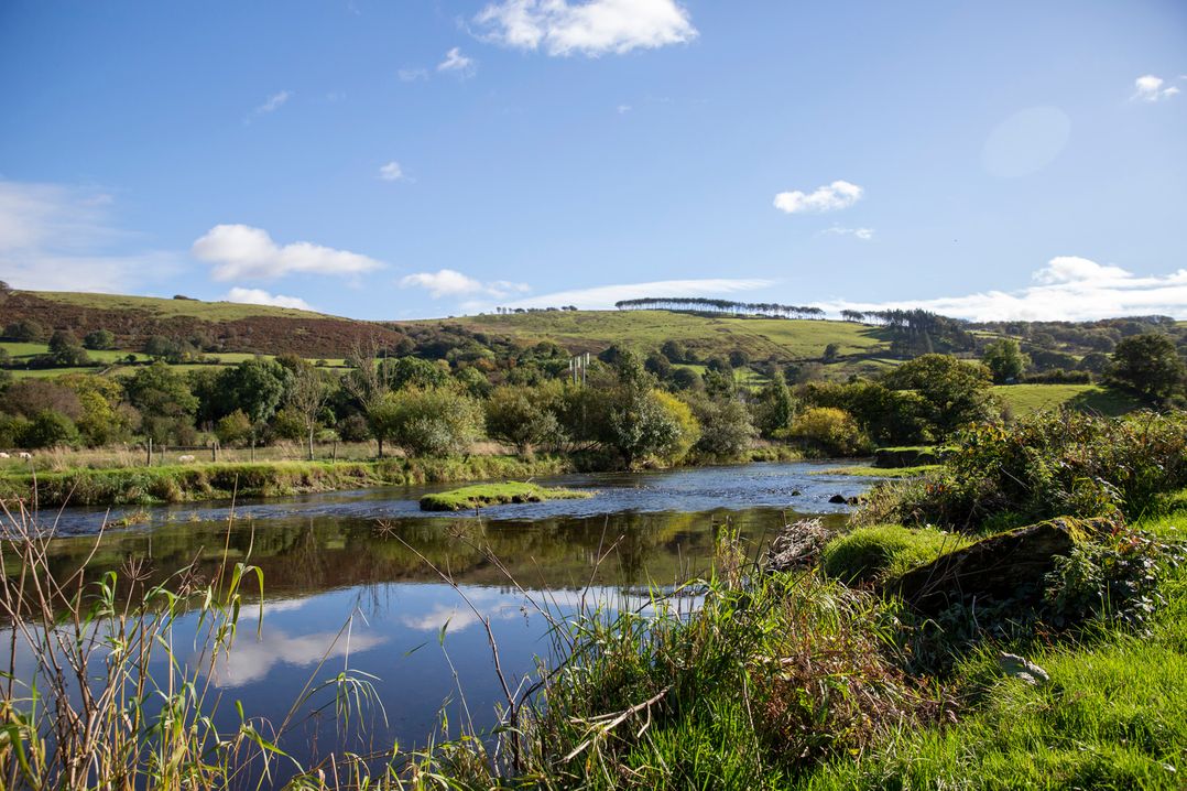 Bwthyn Bach Brefi