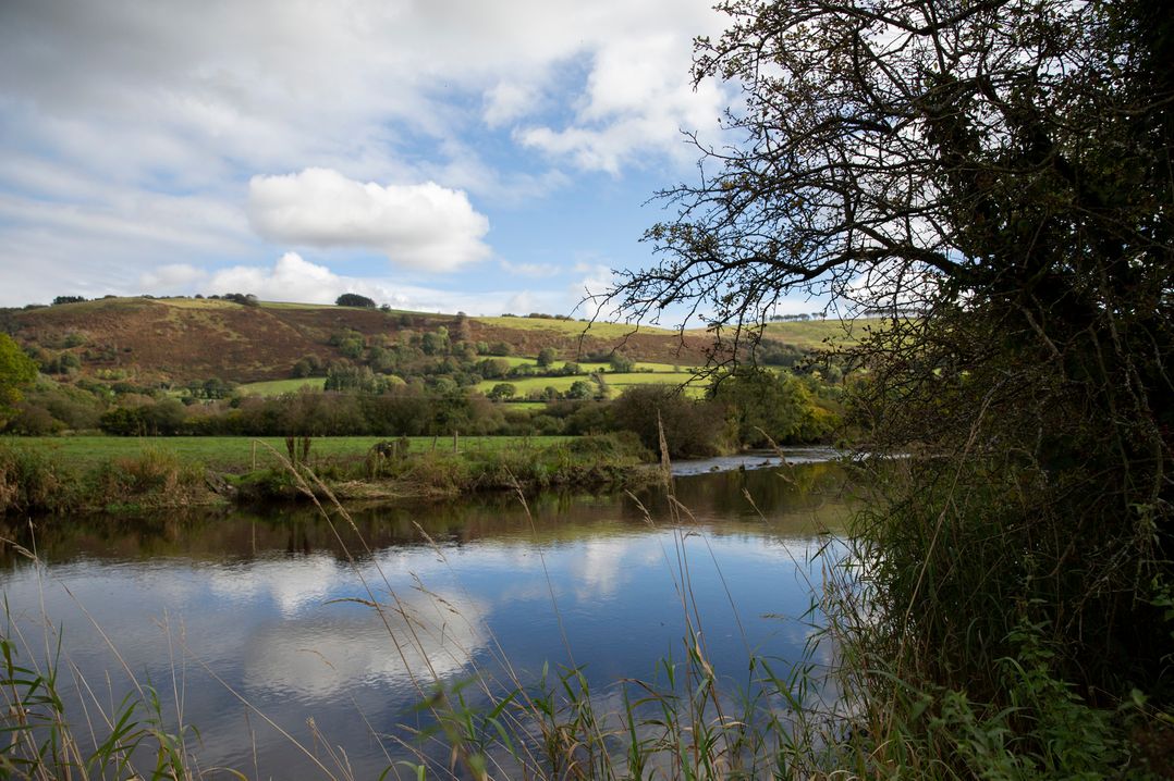 Bwthyn Bach Brefi