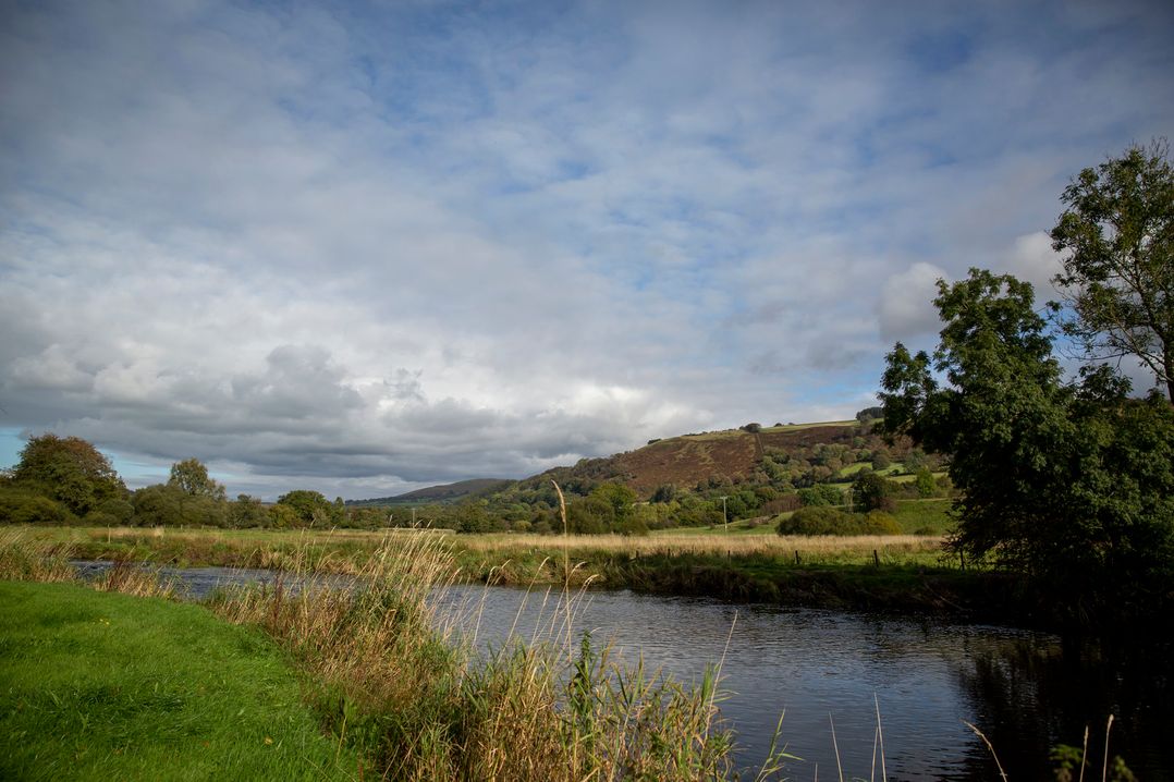 Bwthyn Bach Brefi