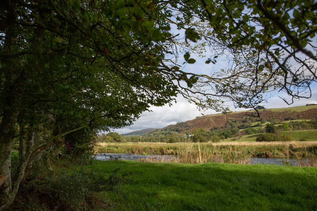 Bwthyn Bach Brefi