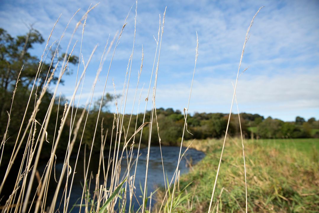 Bwthyn Bach Brefi