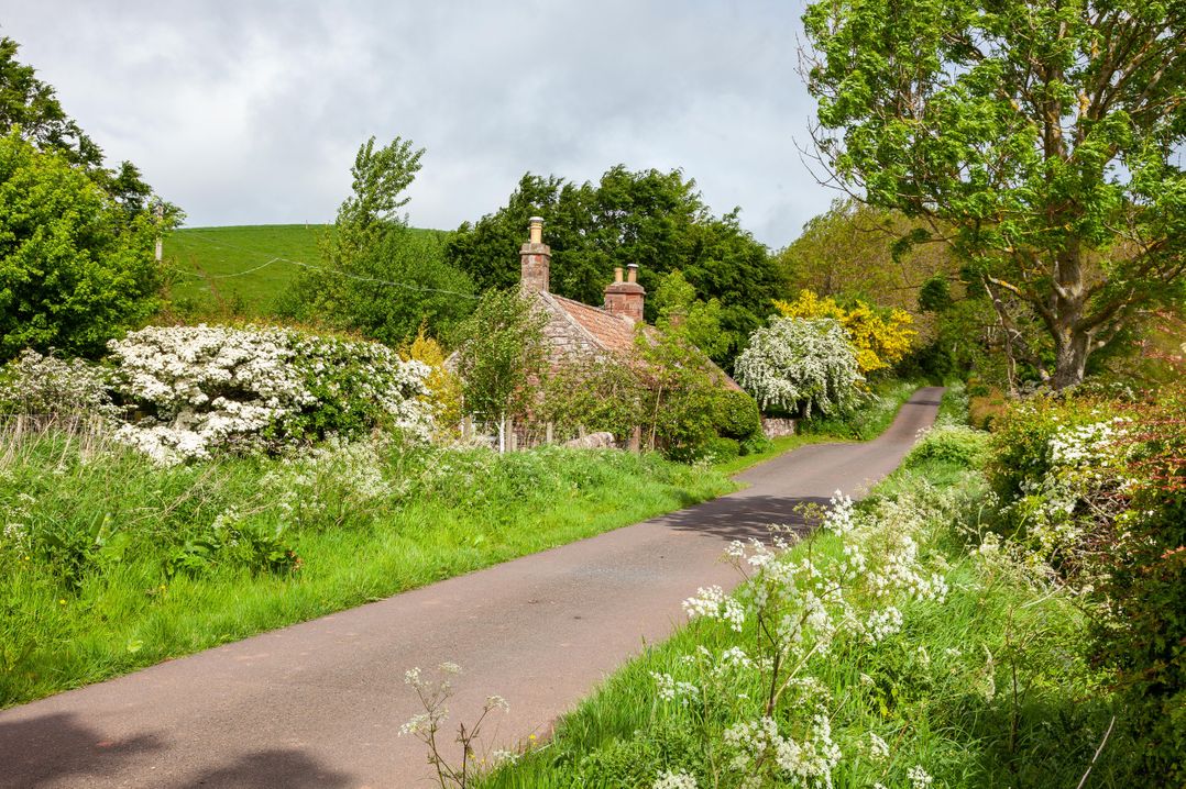 Old Smiddy Cottage