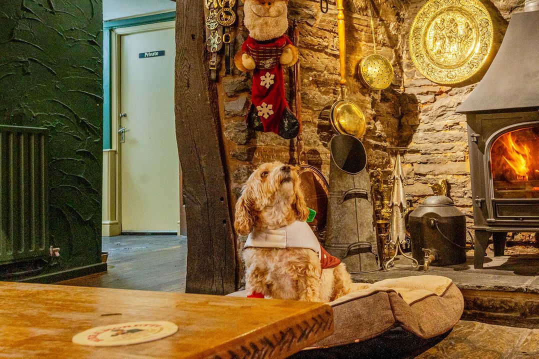 The Boars Head Pub