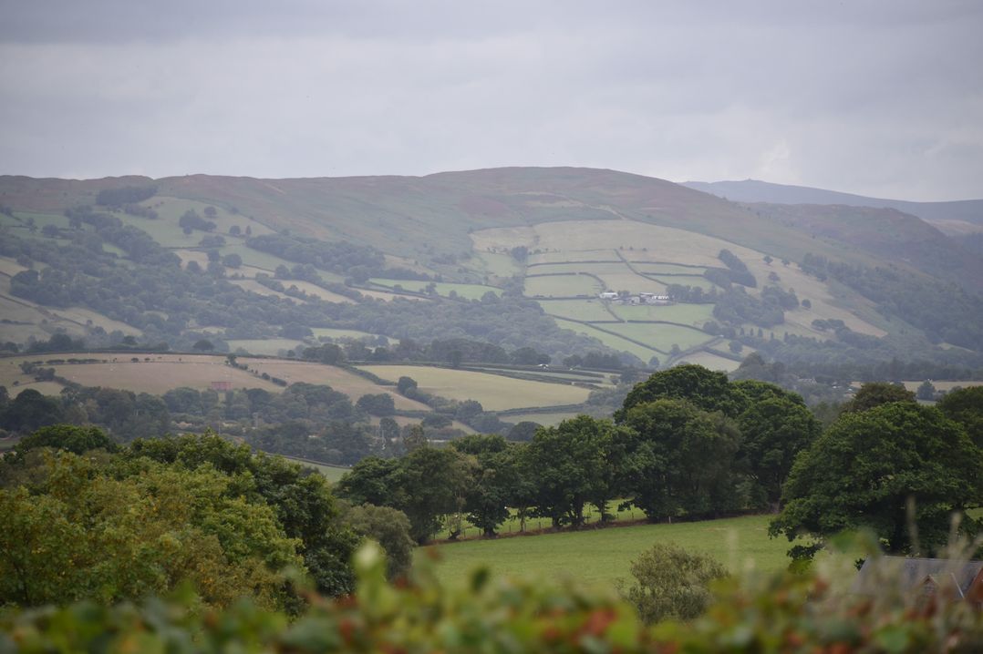 Hillside View