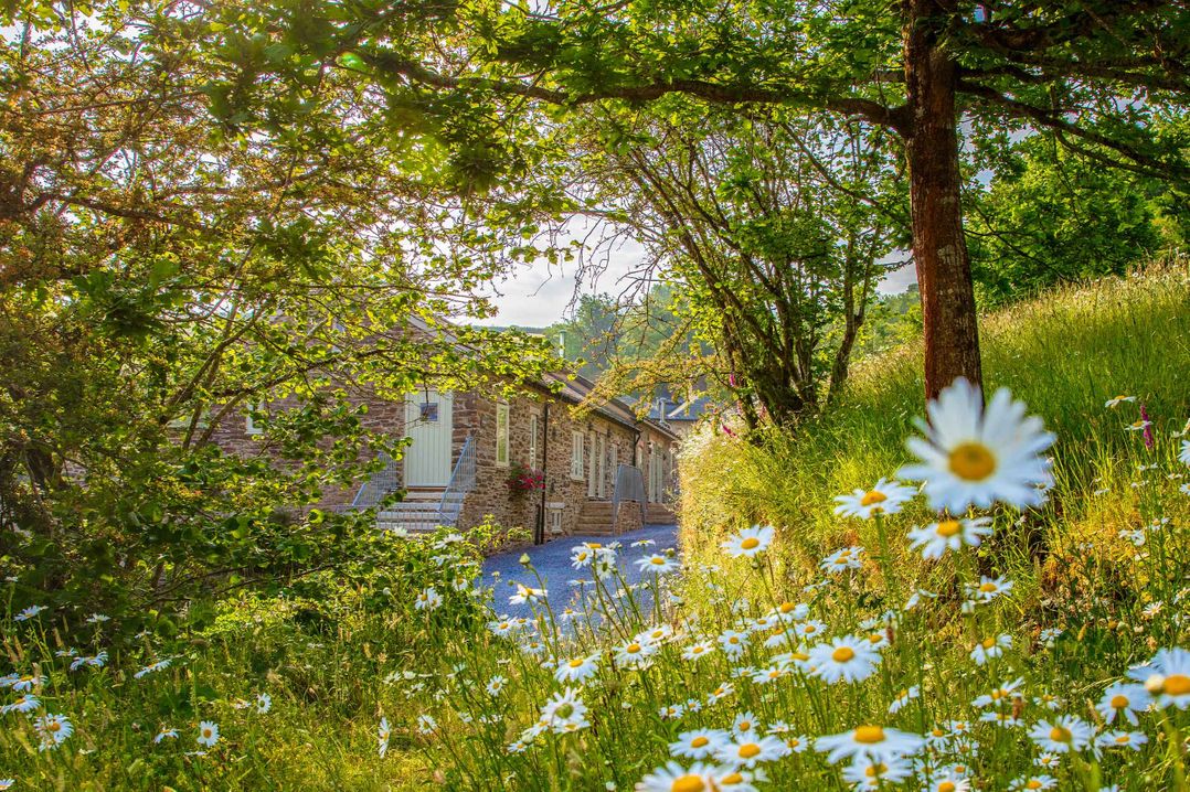 Yennadon Cottage