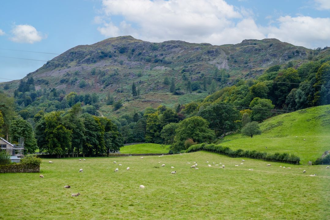 The Old Police House