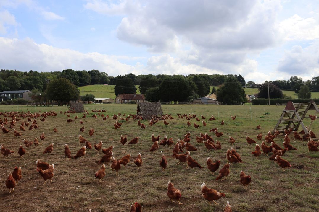 Leafield House @ Nables Farm