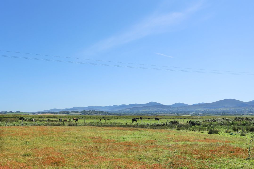 Glanrafon