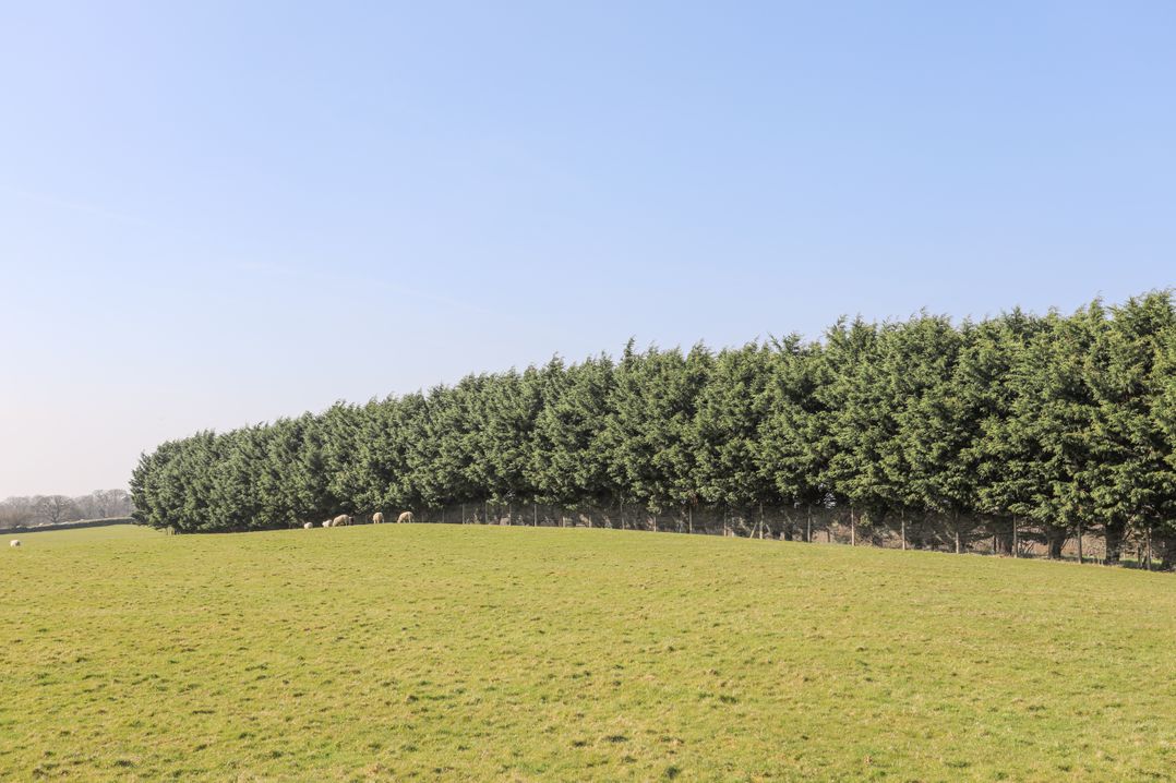 Bryn Afon Farm