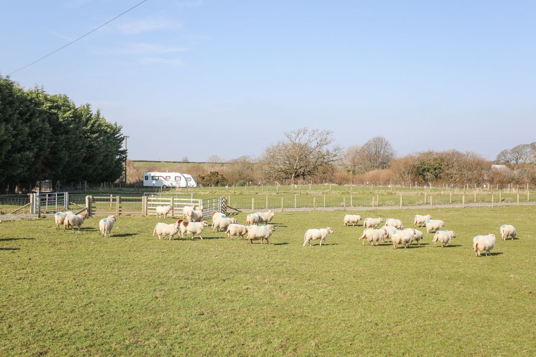 Bryn Afon Farm