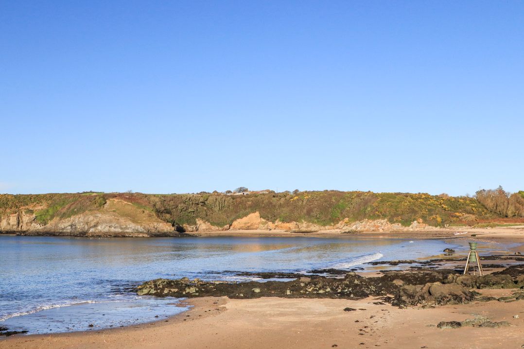 Tregynrig Bach