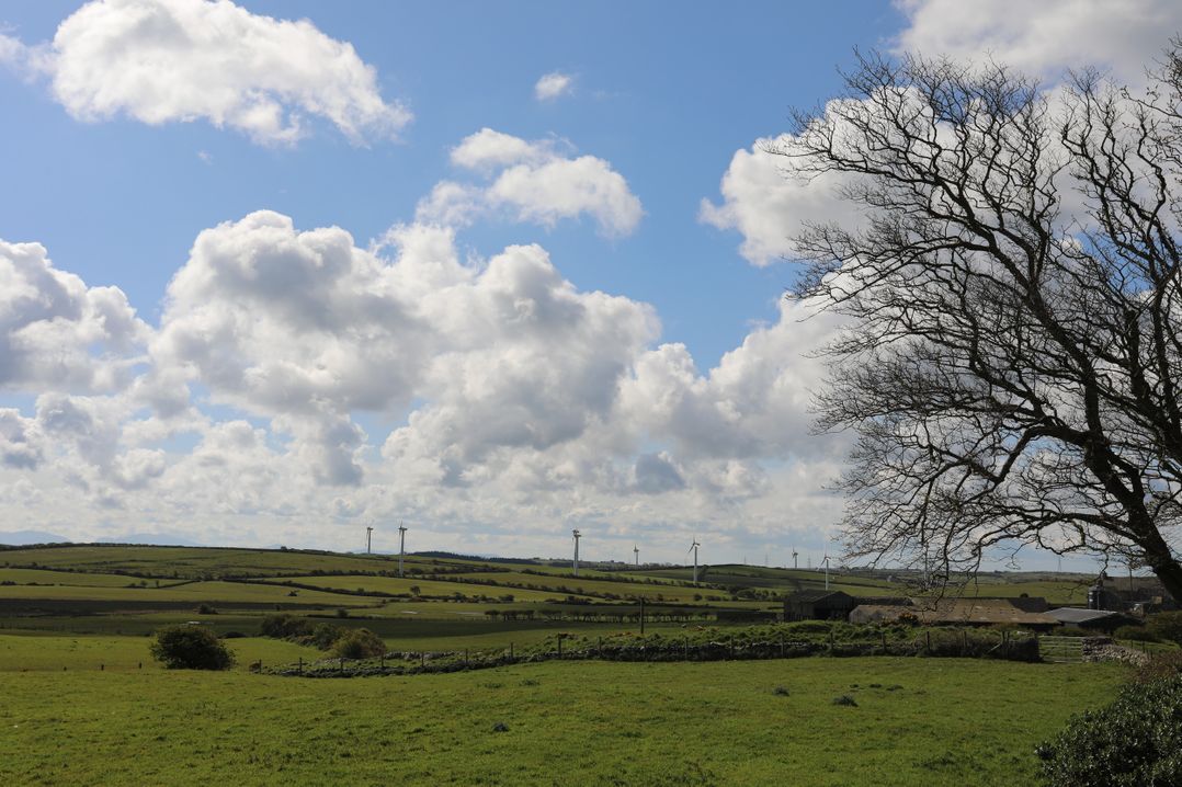 Tregynrig Bach