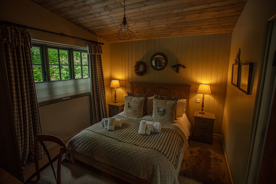 The Owl's Shack