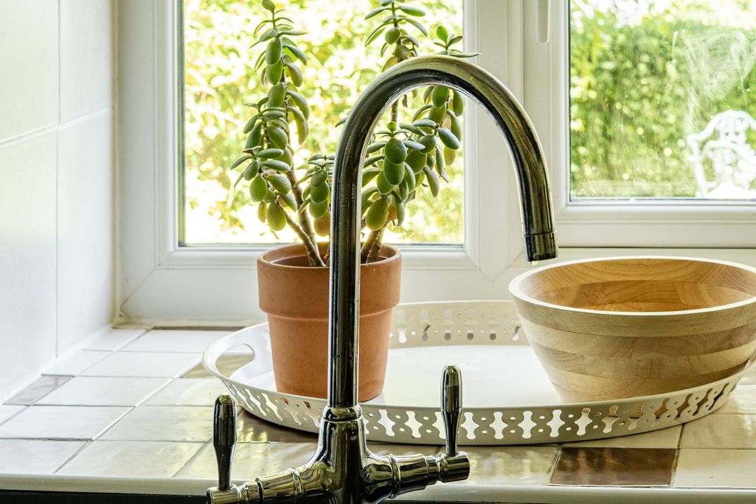 A kitchen with a faucet and a plant in a pot at Tyn Y Ffynnon in Betws-Y-Coed