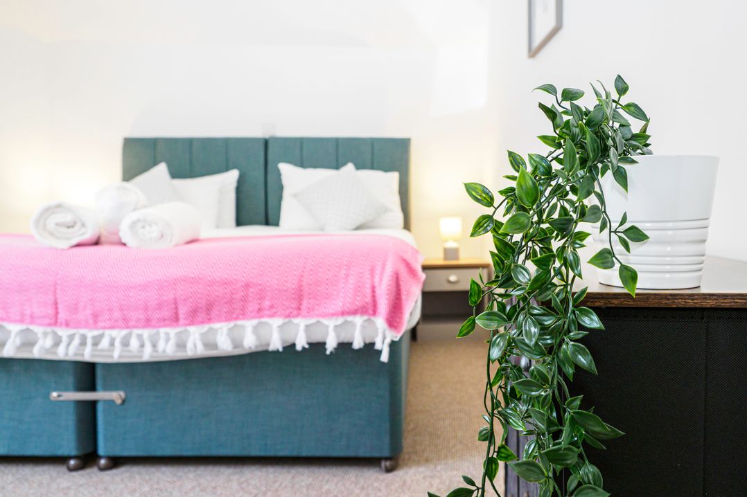 Trelawney, Tresooth Cottages