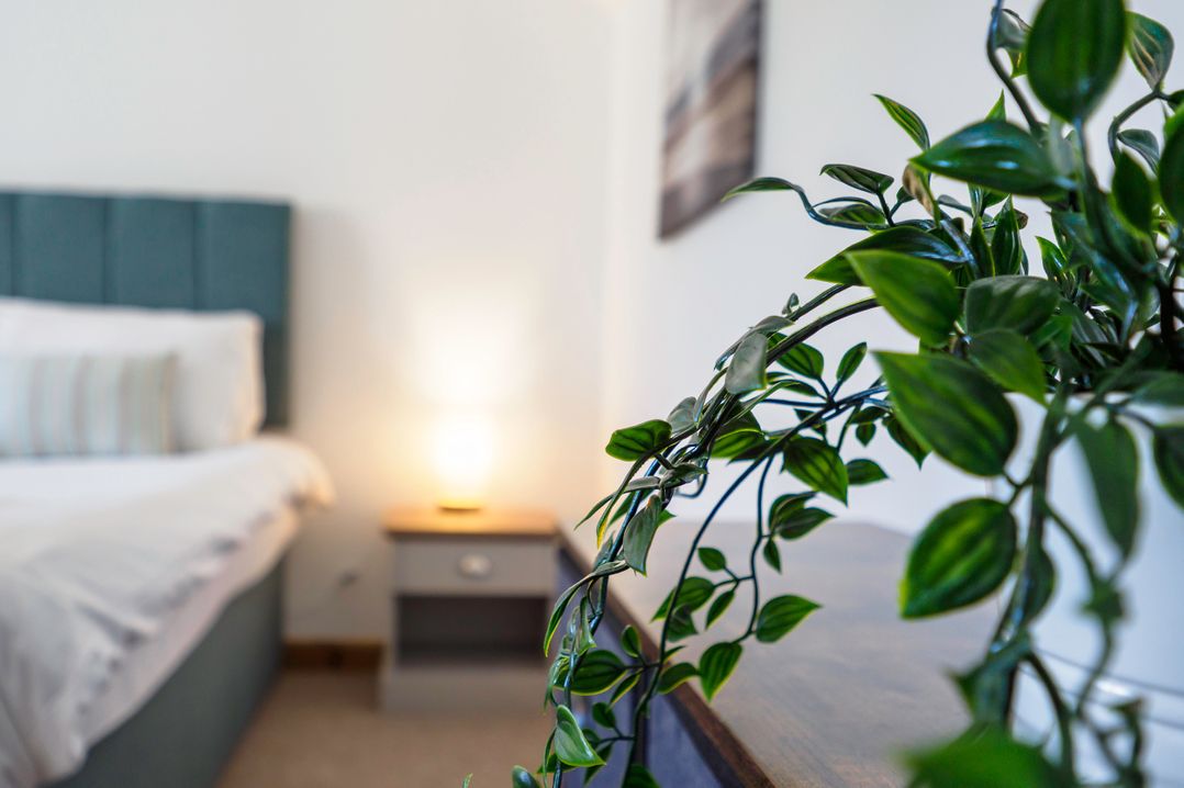 Trelawney, Tresooth Cottages