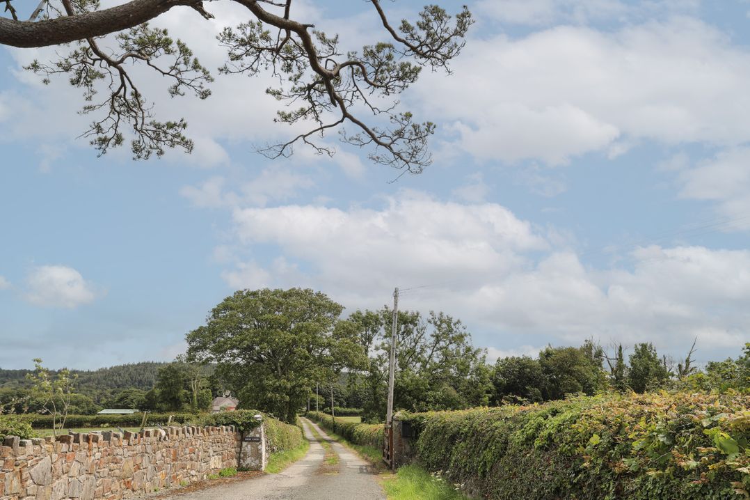 Frongoch Cottage