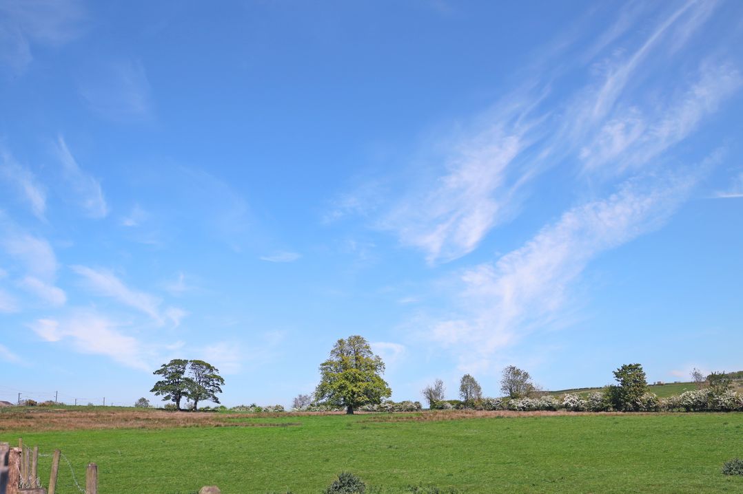 Plumtree Cottage
