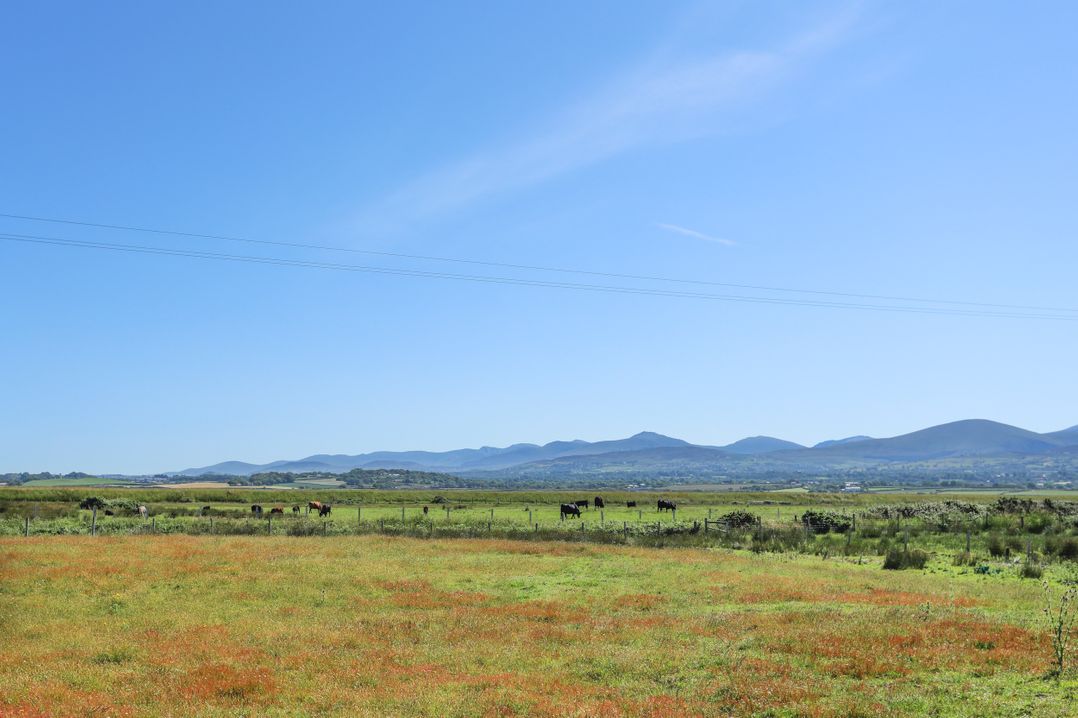 Tan Y Coed - Nasareth