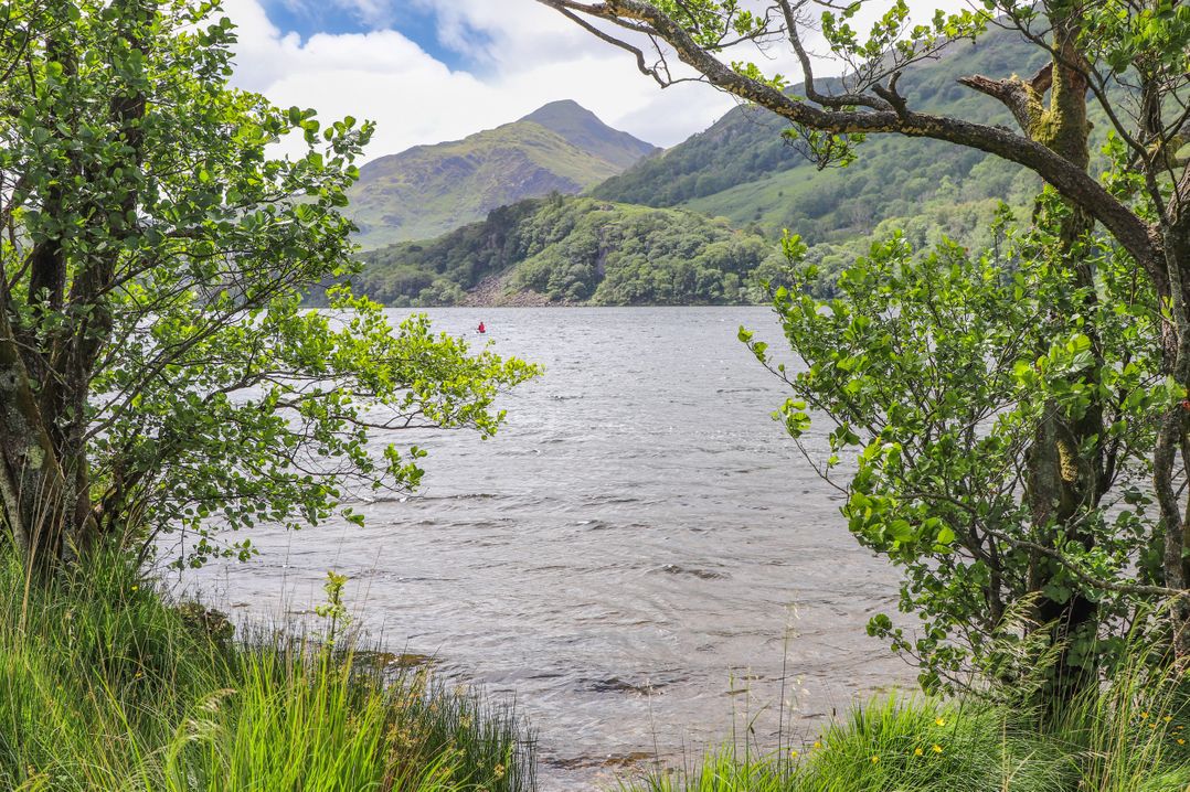 Tan Y Coed - Nasareth