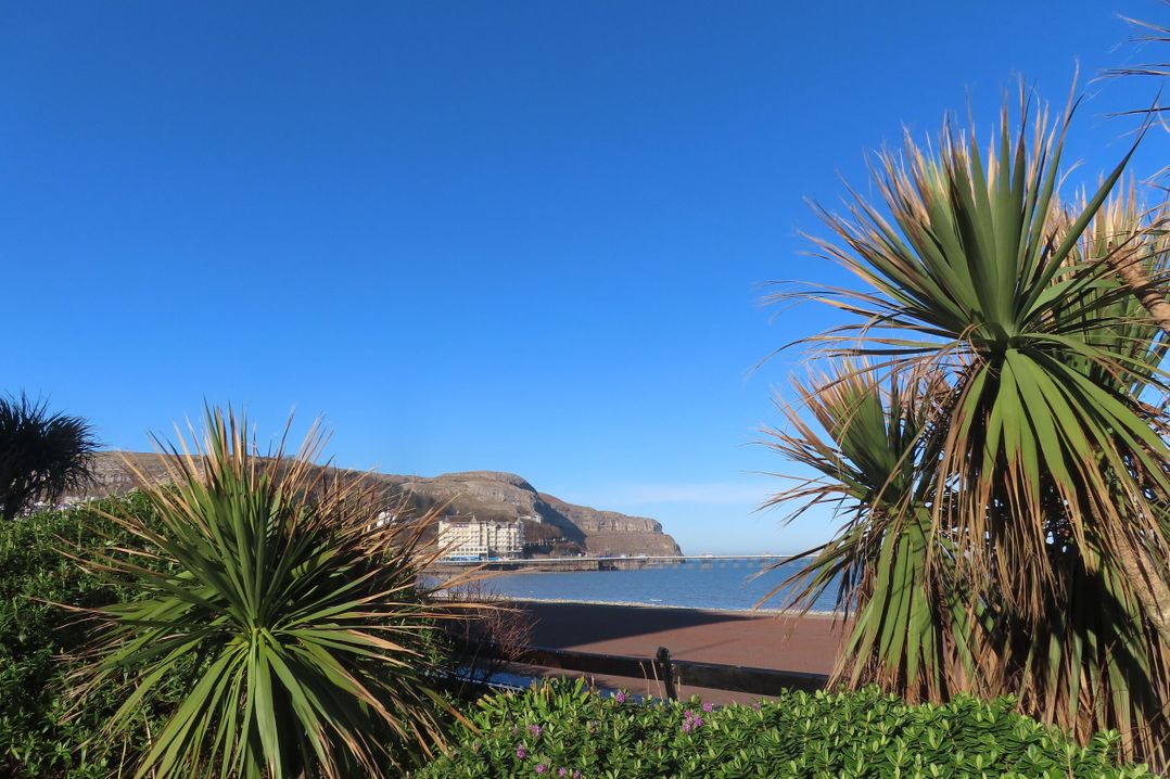 The Causeway
