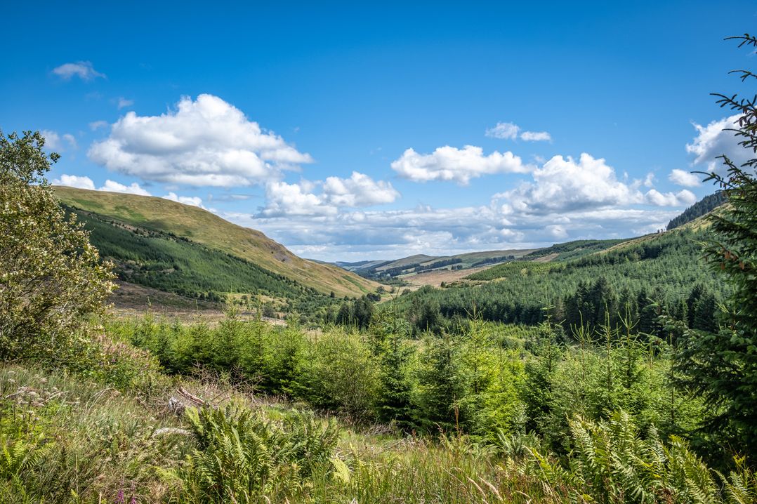 High Auchenbrack