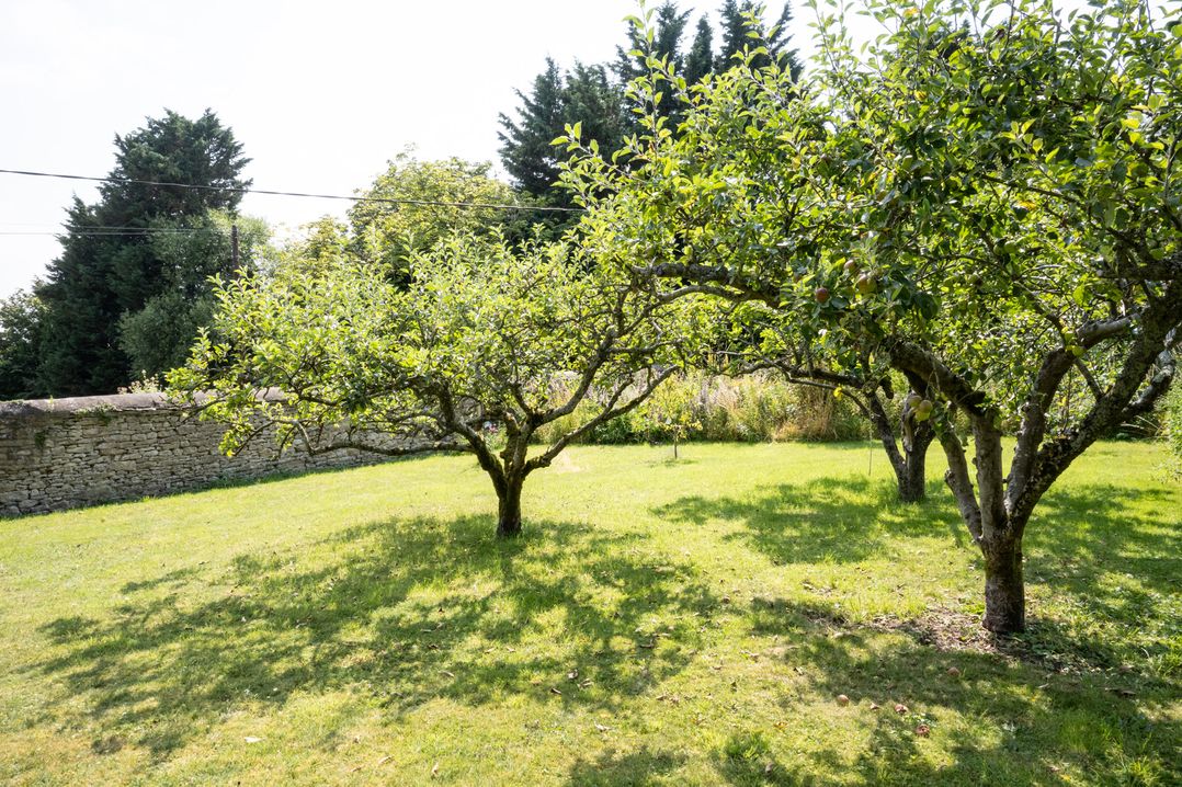 Dove House Farm