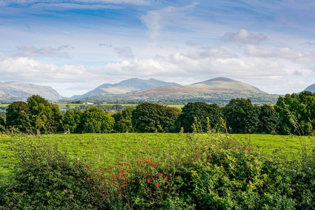 Cae Ffynnon