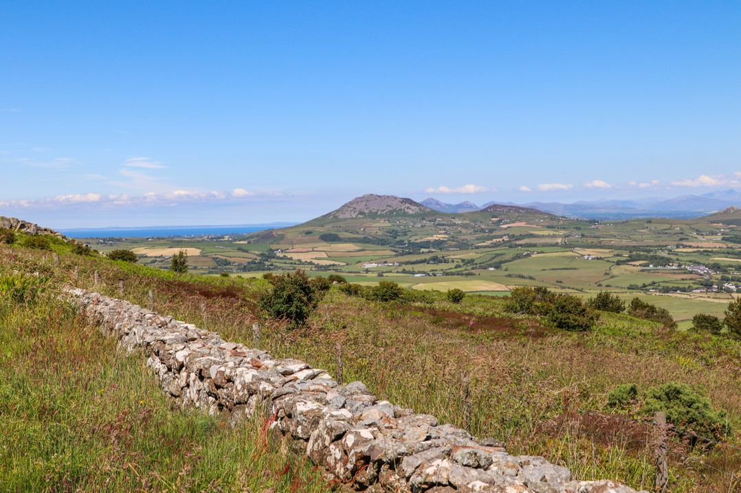 Tan Y Fynwent