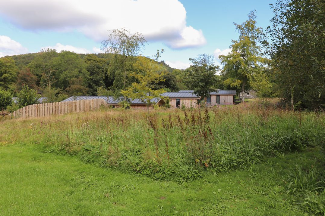 Ash Thwaite