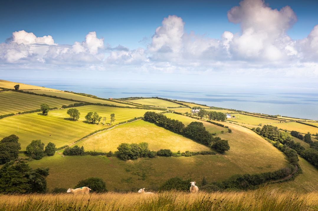 Holiday cottage in Combe Martin, Devon