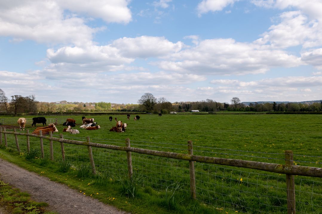 Tixall Manor Farm