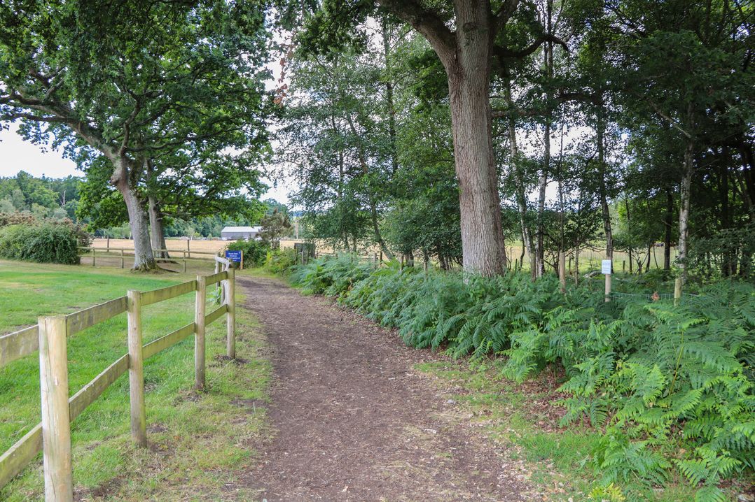18 Deer Glade
