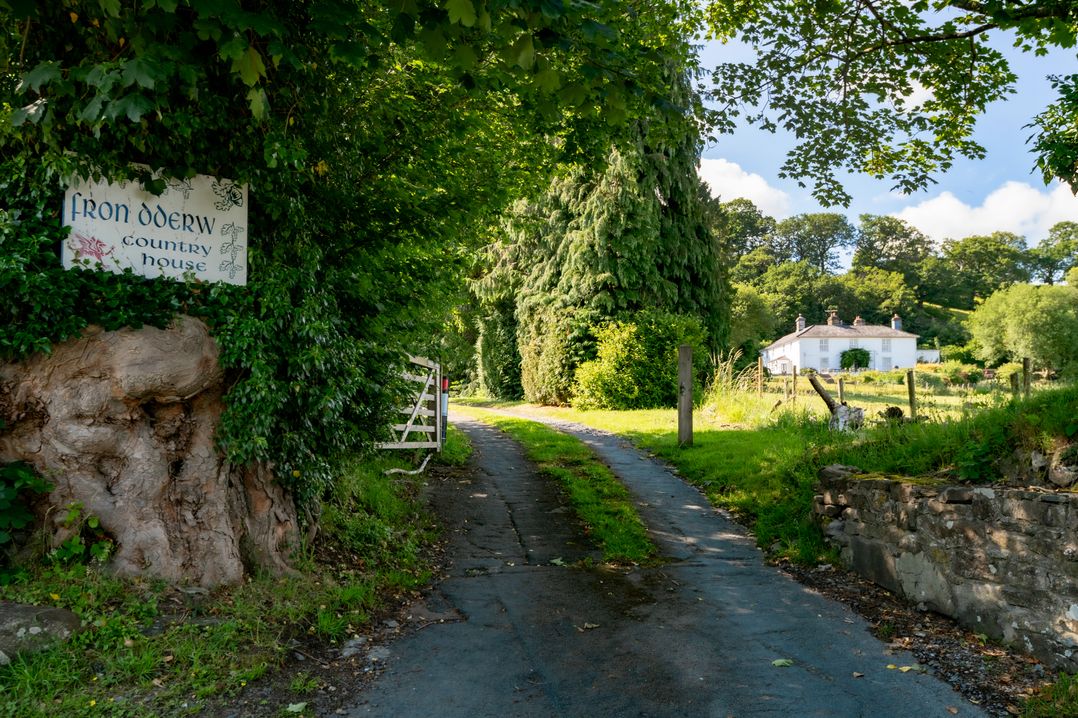 Fron Dderw