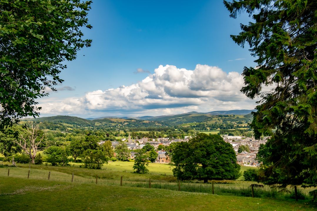 Fron Dderw
