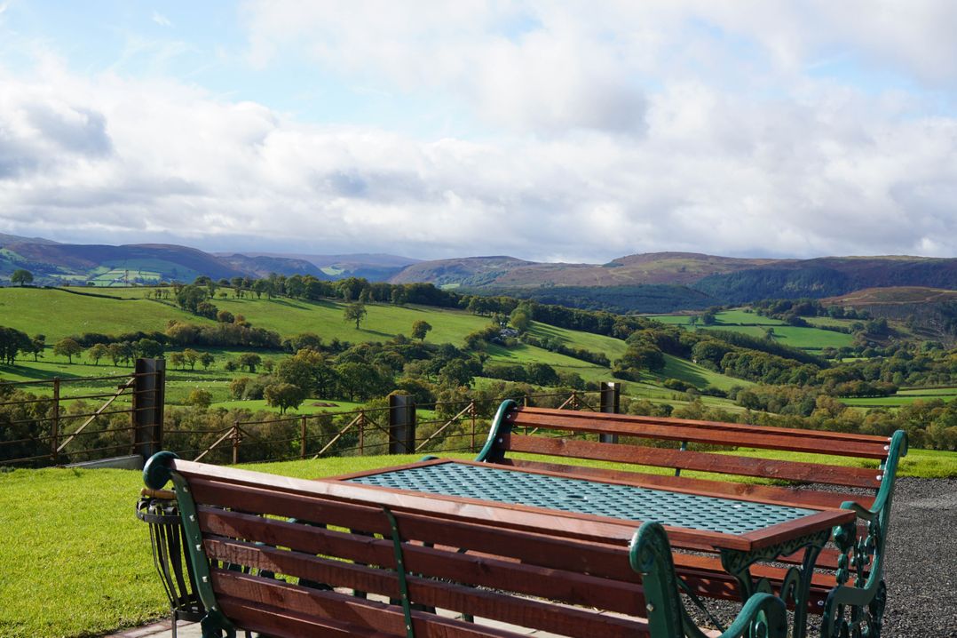 Badgers View
