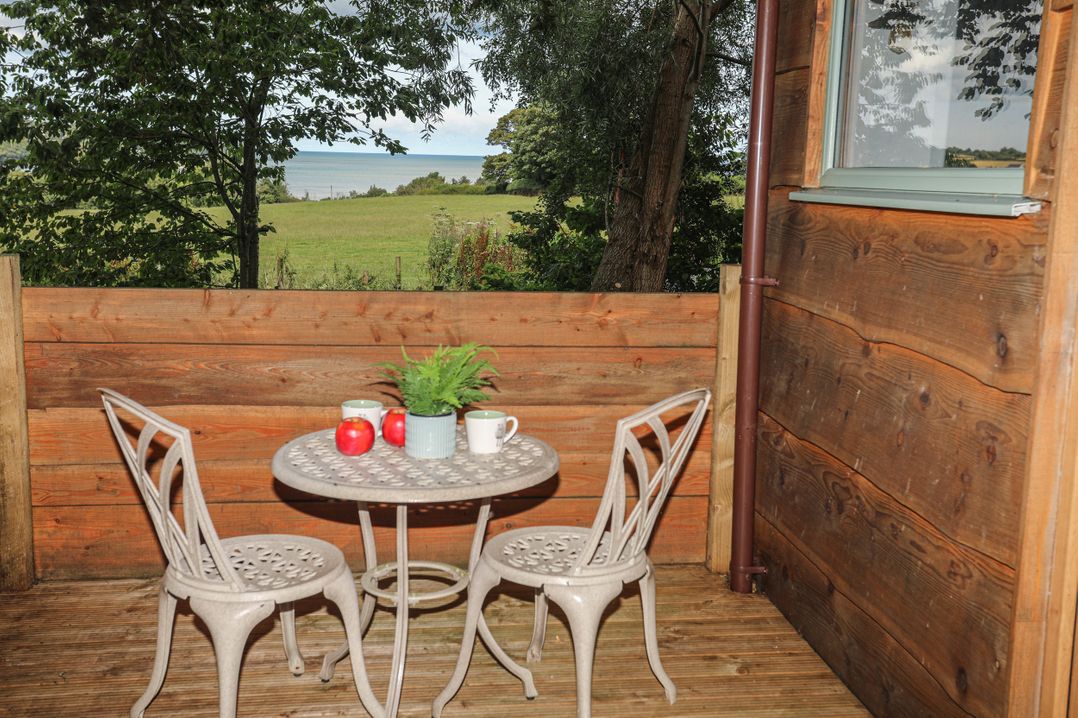 Frongoch Shepherd's Hut