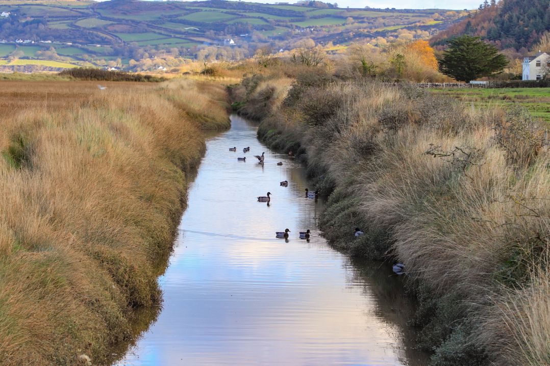 Frongoch Shepherd's Hut