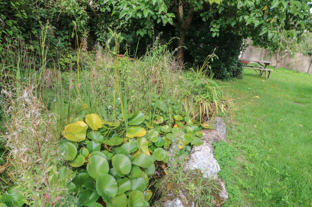 Mulberry Cottage