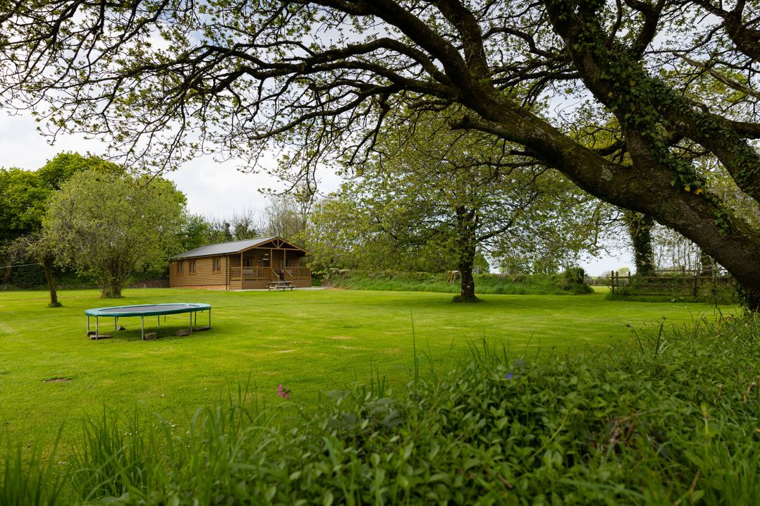 Tarka's Holt Log Cabin