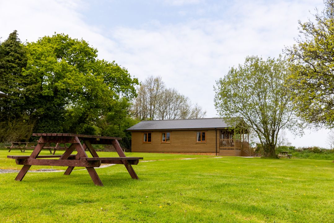 Tarka's Holt Log Cabin