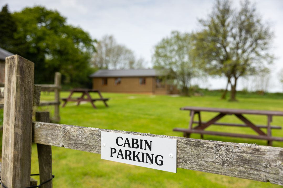 Tarka's Holt Log Cabin