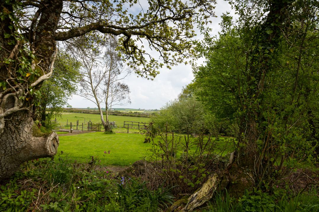 Tarka's Holt Log Cabin
