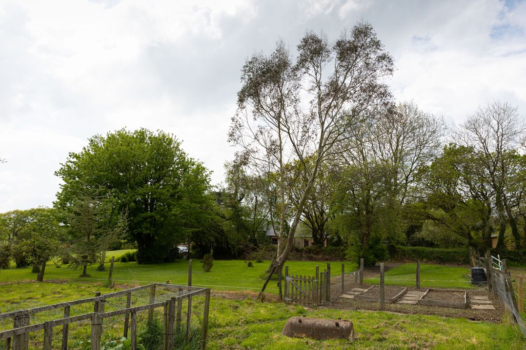 Tarka's Holt Log Cabin
