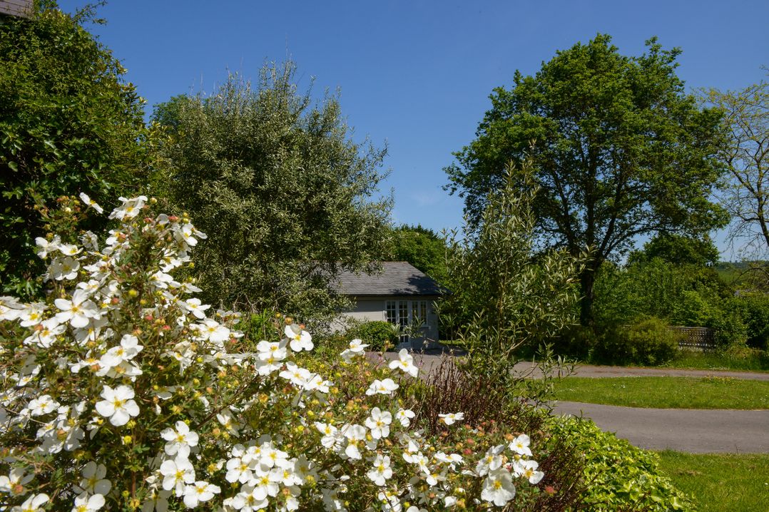 Sawmill Cottage