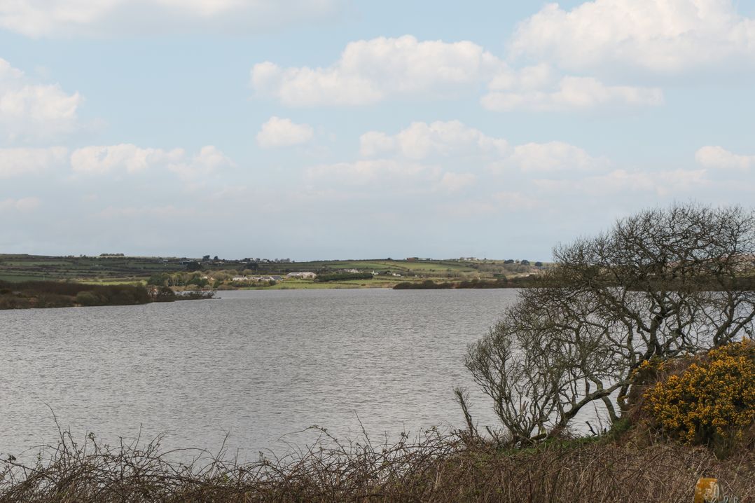 Cuckoo's Rest