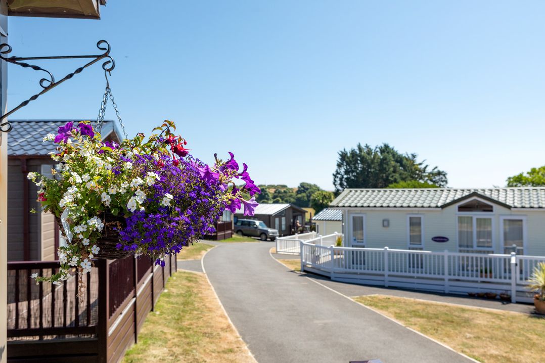 Lodge 11 at Landscove Holiday Park