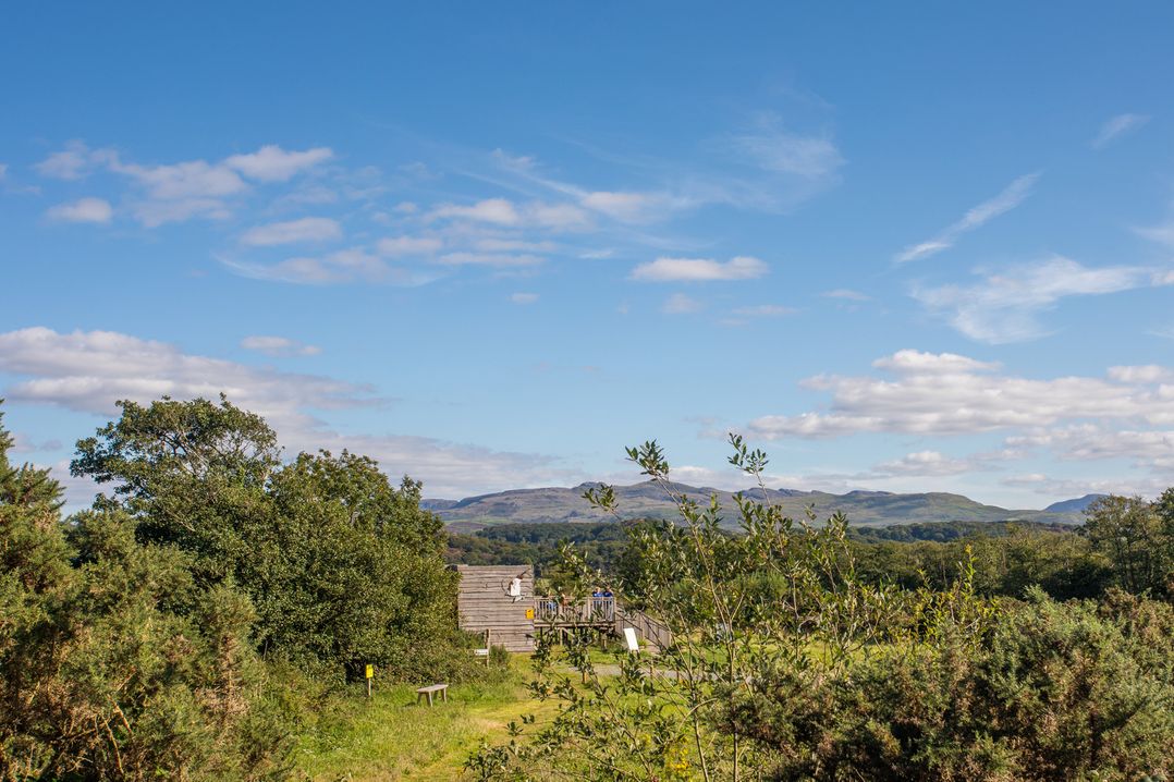 Osprey Cottage